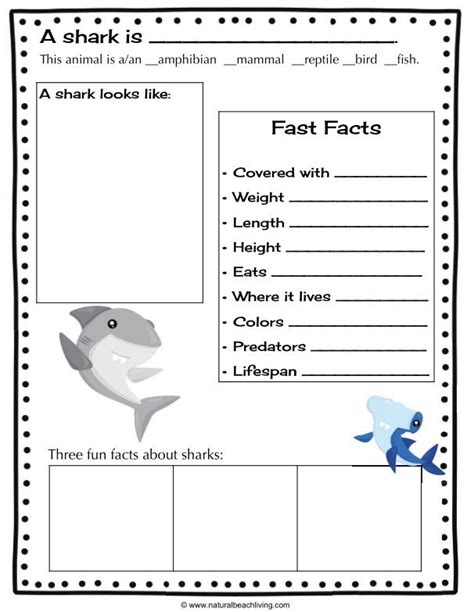 teach child   read shark printable worksheets