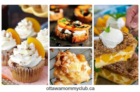 15 top peach recipes ottawa mommy club