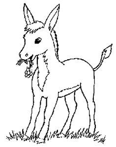 baby donkey coloring pages animal coloring pages pinterest baby