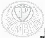 Palmeiras Emblema sketch template