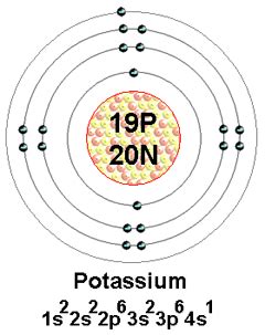 general information potassium