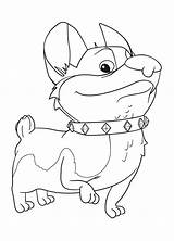 Corgi Coloring Pages Dog Printable Puppy Line Drawing Print Getdrawings Corgis Animals Template Getcolorings Coloringtop Color sketch template