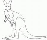Colorat Cangur Desene Planse Kangaroo Desen Creion Animal Martisor Salbatice Educative Cangurul Canguri sketch template