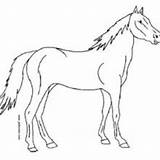 Cheval Cavalo Yegua Ausmalen Chevaux Pferd Hellokids Caballos Caballo Cavalos sketch template