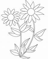 Sunflower Coloring Sunflowers Color Pages Clipart Kids Printable Colouring Preschoolers Plants Cliparts Sheets Desert Print Library Preschool Simple Sea Rocks sketch template