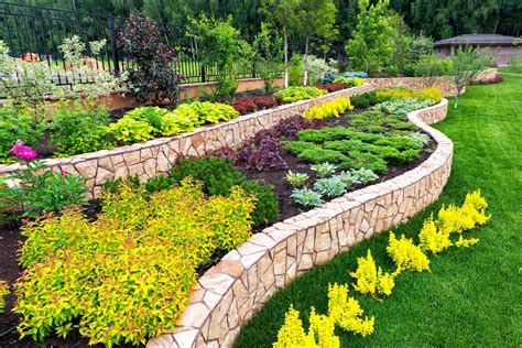 landscaping questions    landscaping professional