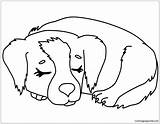 Puppy Pages Sleeping Coloring Color sketch template