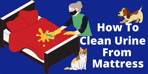 clean urine  mattress