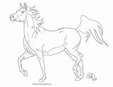 Arabian Horse Deviantart Line Coloring Pages Drawings Drawing Horses Realistic Do Visit Colouring sketch template