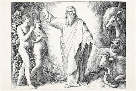 Adam Biblical Character Zdjęcia I Ilustracje Istock