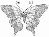 Colorare Inchiostro Disegnato Farfalla Adulti Mandala Disegno sketch template