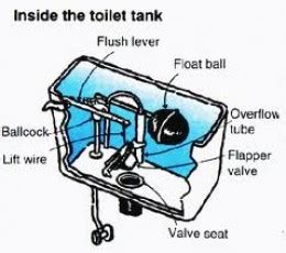 fix  toilet flush valve  easy step  step guide