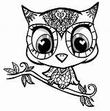 Coloriage Owl Owls Ancenscp Adults Zentangle Kleurplaat sketch template