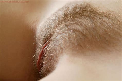 trimmed hairy pussy close up
