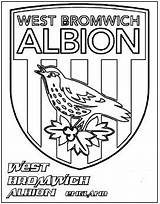 Fulham Norwich Bromwich Albion sketch template