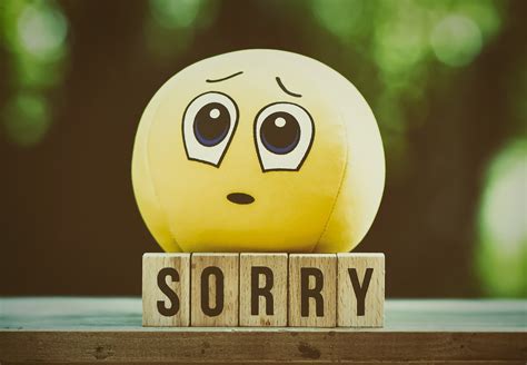 ultimate  photo gallery   apology forgiveness pictures
