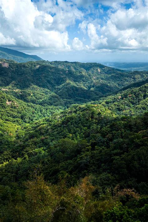 seeking  spirited mystical jamaica tourists dont