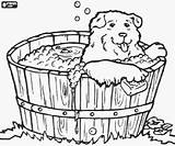 Puppy Taking Bath Dog Small sketch template