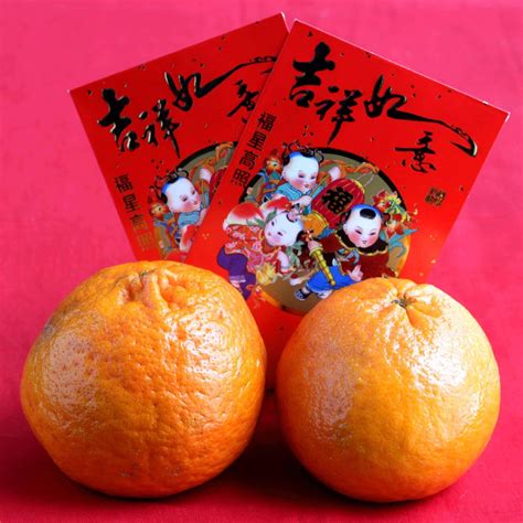 chinese  year traditions   year   dragon jeanettes healthy living