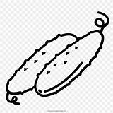 Pepino Cucumber Gurke Dibujo Ausmalbild Pngwing sketch template