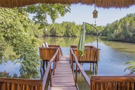 rio eco lodge  gambia wide world senegal holiday destinations holiday travel airbnb