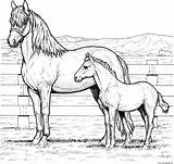 Family Coloring Horse Pages Printable Print sketch template