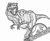 Coloring Jurassic Raptor sketch template
