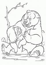 Oso Hermano Irmao Kleurplaten Colorir Disneydibujos Desenhos Urso Animaatjes Pro sketch template