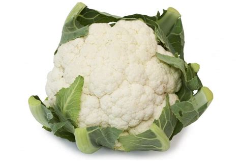 bloemkool health benefits  cauliflower vegan recipes nutrition cauliflower recipes