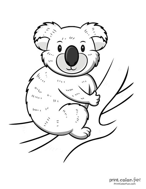 cute koala coloring pages clipart printables