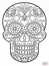 Muertos Dia Los Coloring Skull Pages Getcolorings Color Printable Dead Sugar sketch template