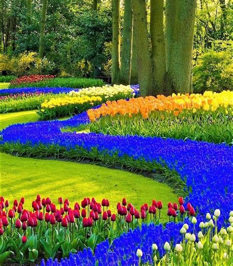 Pin By Marie On Flores Y Paisajes Beautiful Gardens Garden Pictures