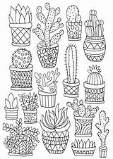 Succulents sketch template