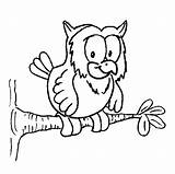 Coloring Owls Pages Baby Animated Sheet sketch template