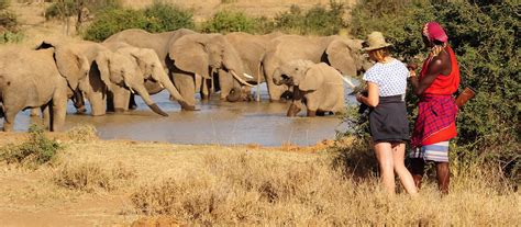 Best Time To Visit Africa Safari Destinations Travel Guide