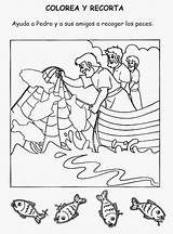 Pesca Milagrosa Fichas Pedro Biblia Jesús sketch template