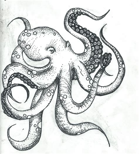 octopus drawing atomicxaser