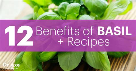 benefits  basil recipes dr axe