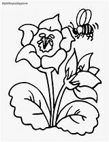 Mewarnai Lebah Kartun Mawar Putih Hitam Madu Mari Buku Sketsa Hewan Menghisap Kecerdasan Clipartbest Gelas Dini Usia Lukisan Menggambar Animasi sketch template