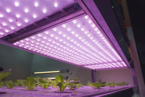 simple diy indoor grow lights  start seeds