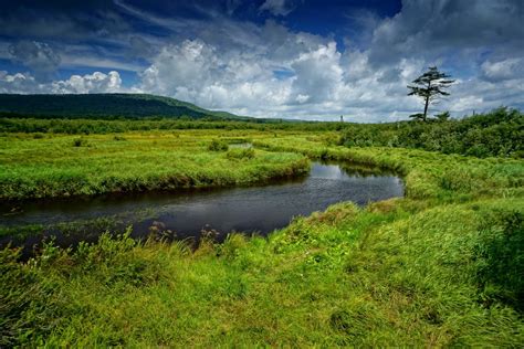discover west virginia    blackwater river trail canaan valley