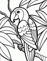 Colouring Pages Coloring sketch template