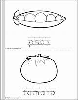 Coloring Vegetable Pages sketch template