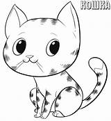 Katze Katzen Ausmalen Zum Ausmalbild Dekoking Hund Bekommen Einzigartig Neuer Zeichnen Kucing Cats Erwachsene Pferde Bastelideen Verschiedene Künstler Zeichentrick Kandungan sketch template