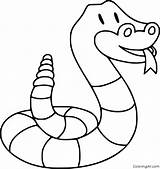 Rattle Rattlesnake Clip Coloringall sketch template