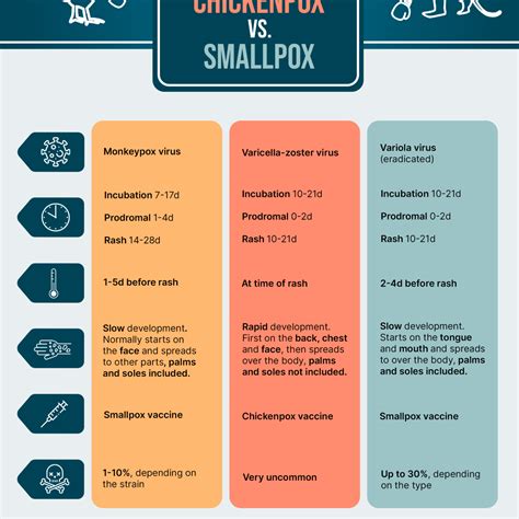 infographic monkeypox  chickenpox  smallpox domestika