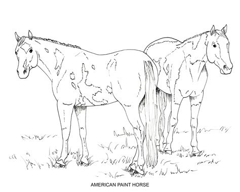 horse drawings coloring pages