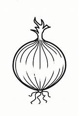 Onion Coloring Pages sketch template