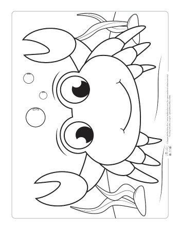 summer animals coloring pages