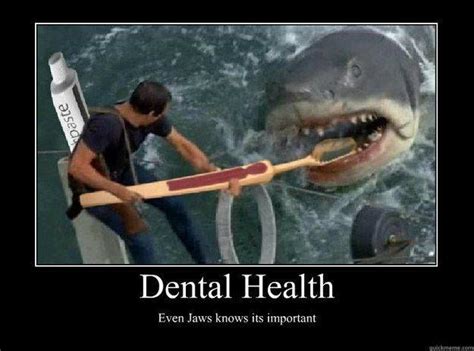 dental health  jaws   important meme funny dentist